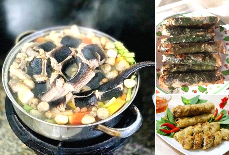6 Món Ngon Quảng Bình Chất Lượng