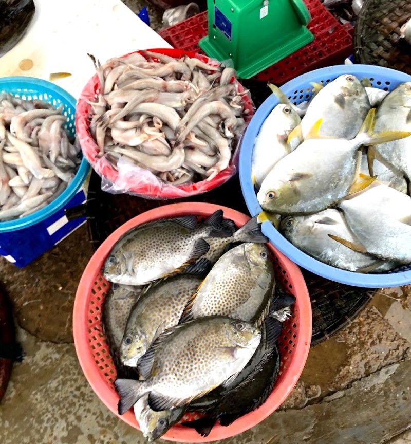 Hải sản ở Chợ Đồng Hới