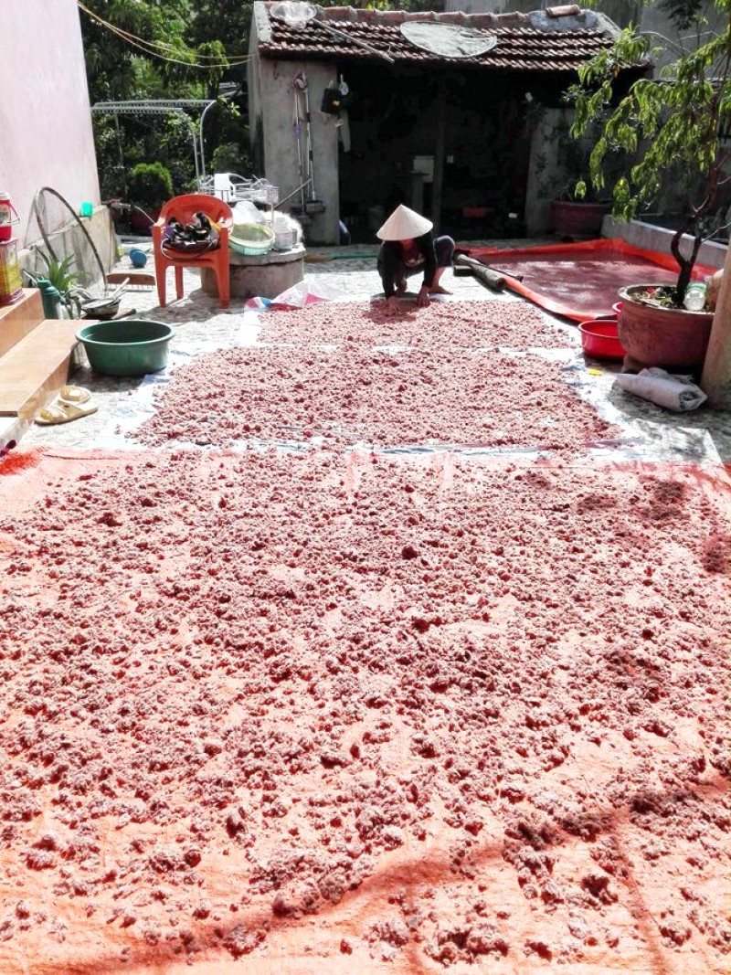 Mắm ruốc Quảng Bình: Đặc sản đậm đà, quà biếu ý nghĩa.