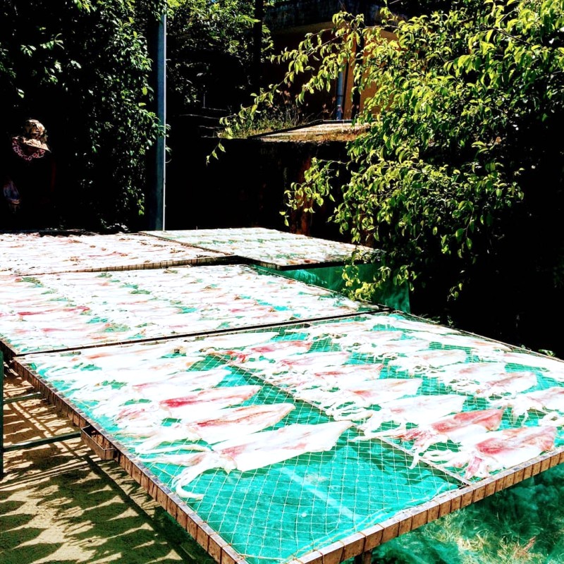 Mực một nắng Quảng Bình