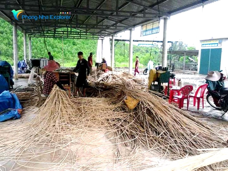 Cây mây được xẻ sợi nhỏ