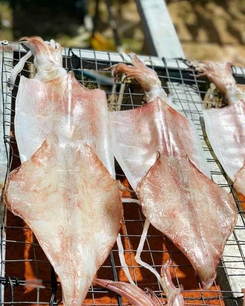 Mực một nắng Quảng Bình