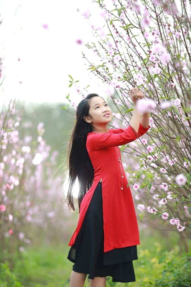 Làng hoa Lý Trạch: Điểm đến mới Quảng Bình